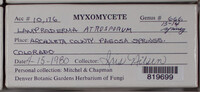 Image Associated With the Occurence